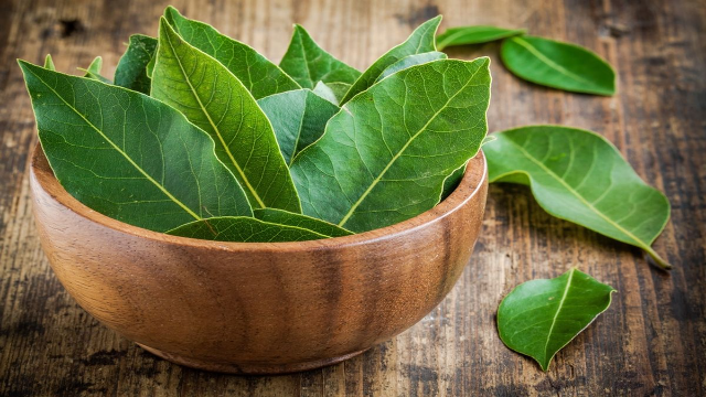 6 Manfaat Daun Salam untuk Kesehatan